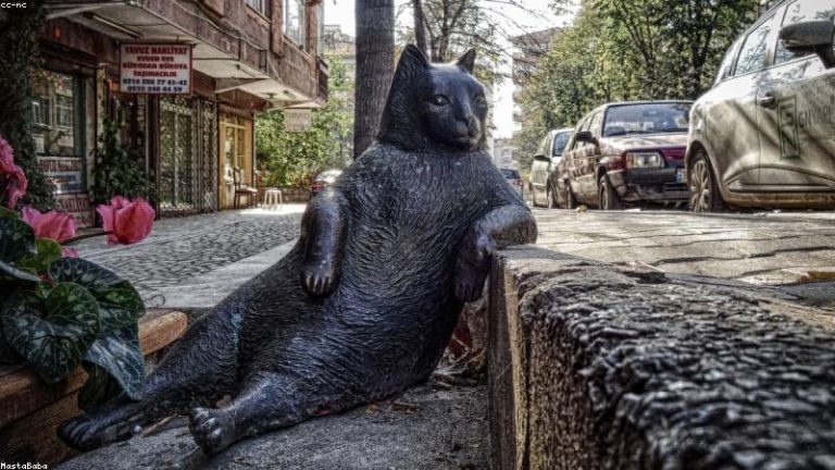 fathom vs otter.ai: which transcription tool wins?