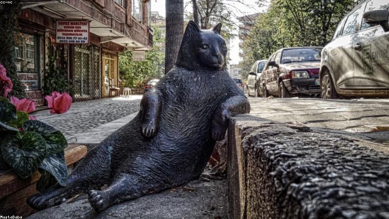 fathom vs otter.ai: which transcription tool wins?